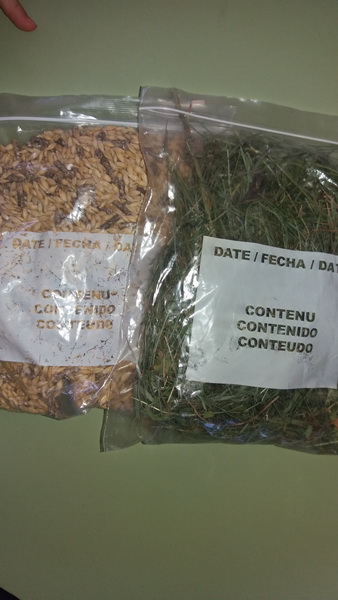 20160204_144634_redimensionar