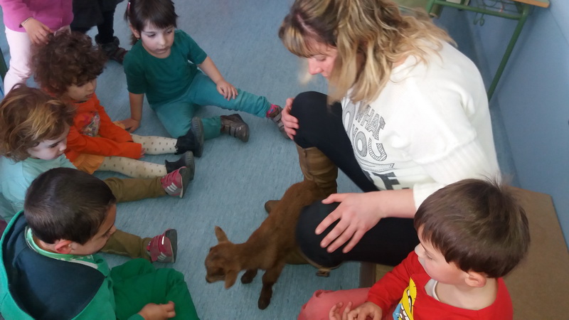 20160204_145318_redimensionar