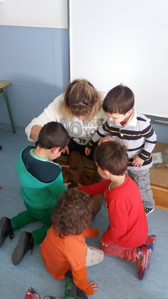 20160204_145530_redimensionar