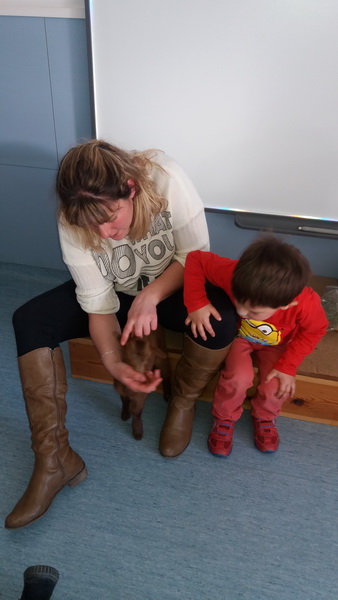 20160204_145611_redimensionar