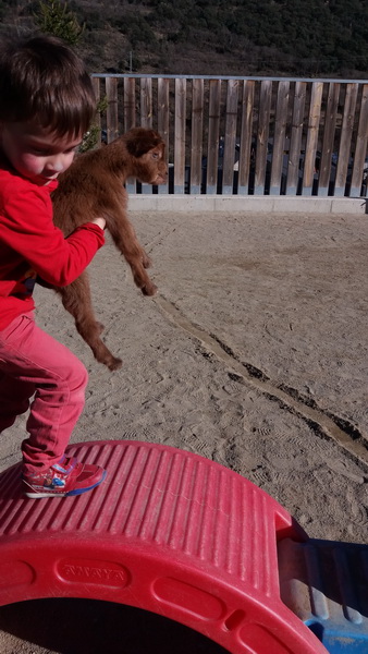 20160204_150404_redimensionar