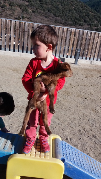 20160204_150415_redimensionar