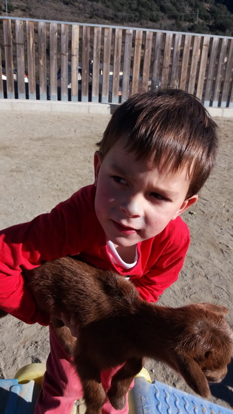 20160204_150425_redimensionar