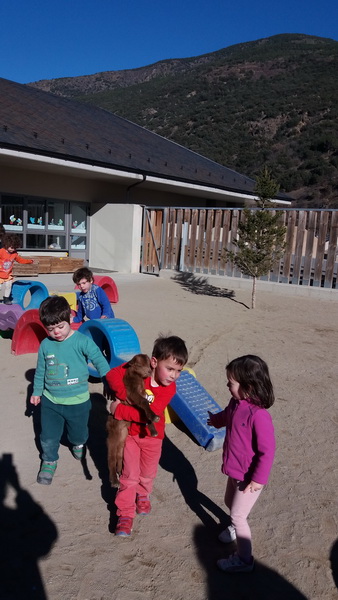 20160204_150709_redimensionar