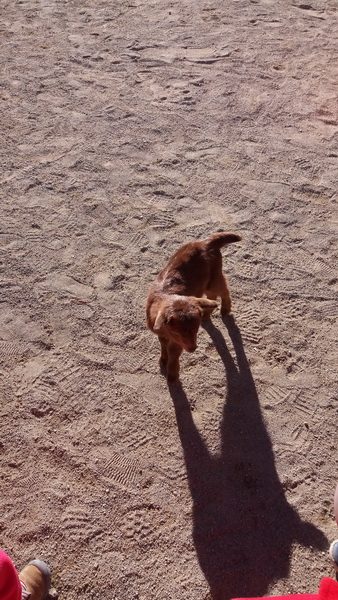 20160204_152020_redimensionar