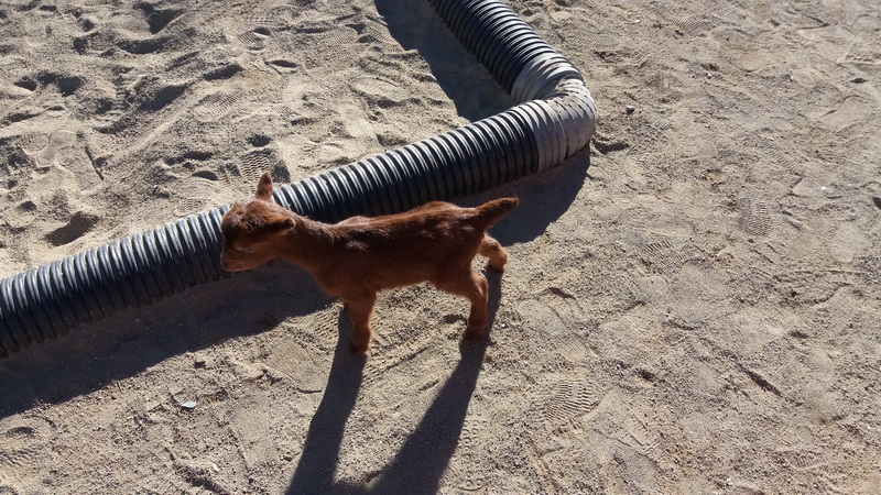 20160204_152127_redimensionar