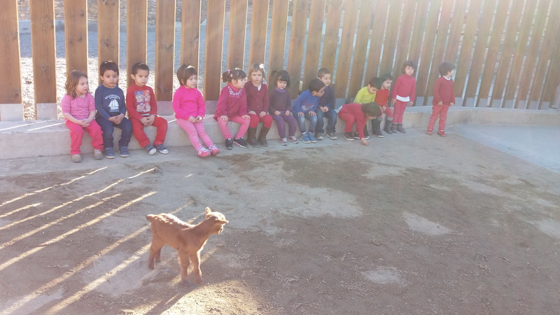 20160204_152252_redimensionar