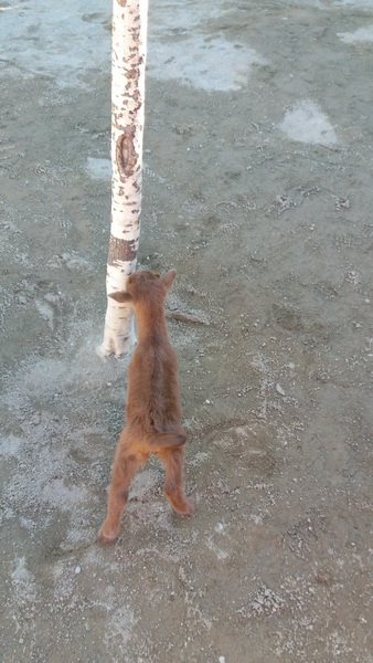 20160204_152445_redimensionar