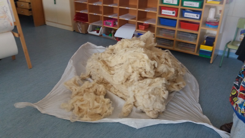 20160223_144058_redimensionar