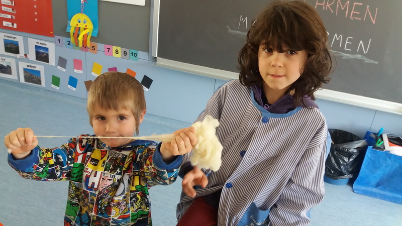 20160223_144447_redimensionar