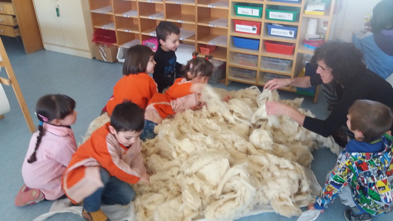 20160223_144809_redimensionar