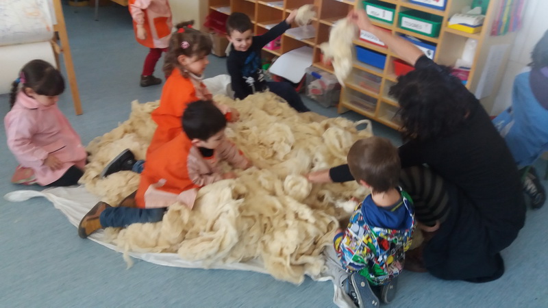 20160223_144814_redimensionar