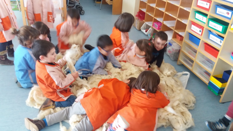 20160223_144851_redimensionar