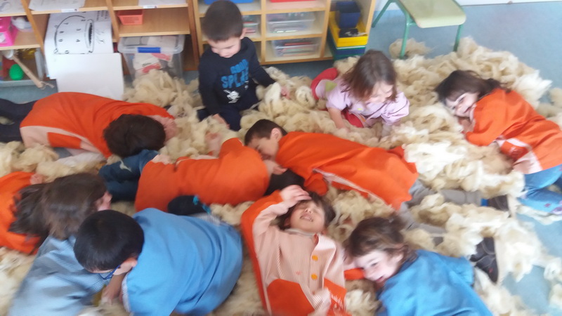 20160223_145234_redimensionar