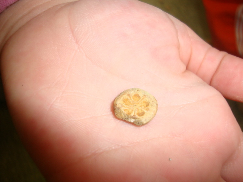 DSC00773_redimensionar