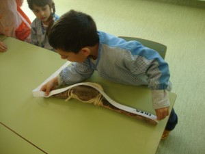 DSC00342_redimensionar