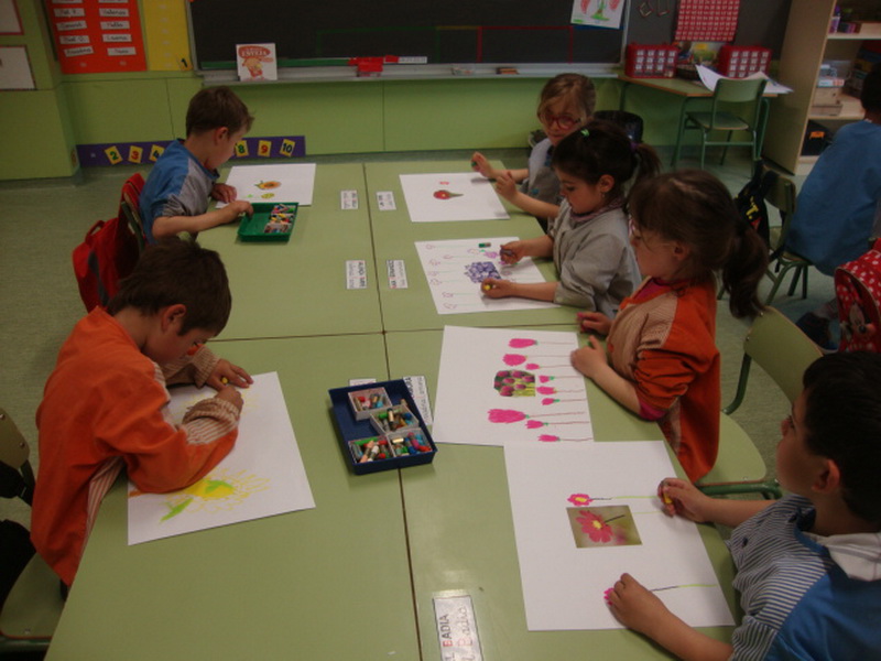 DSC01808_redimensionar