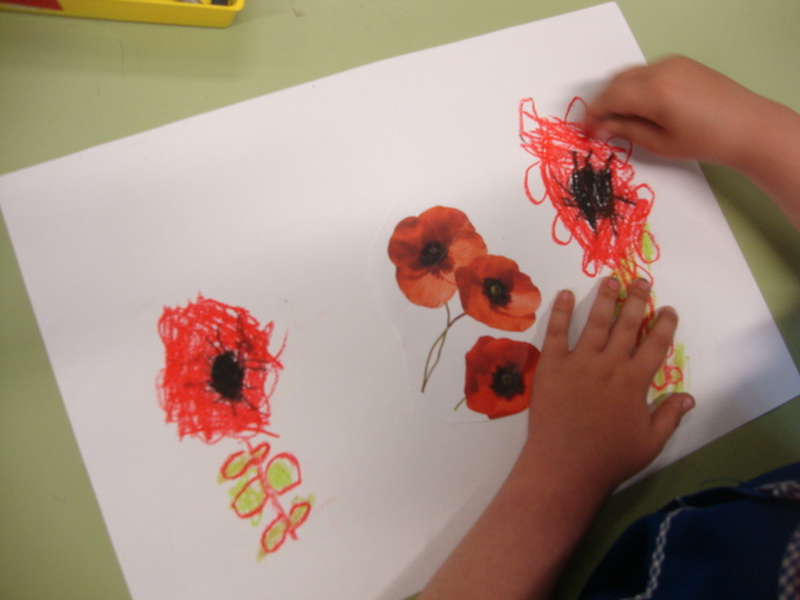 DSC01810_redimensionar