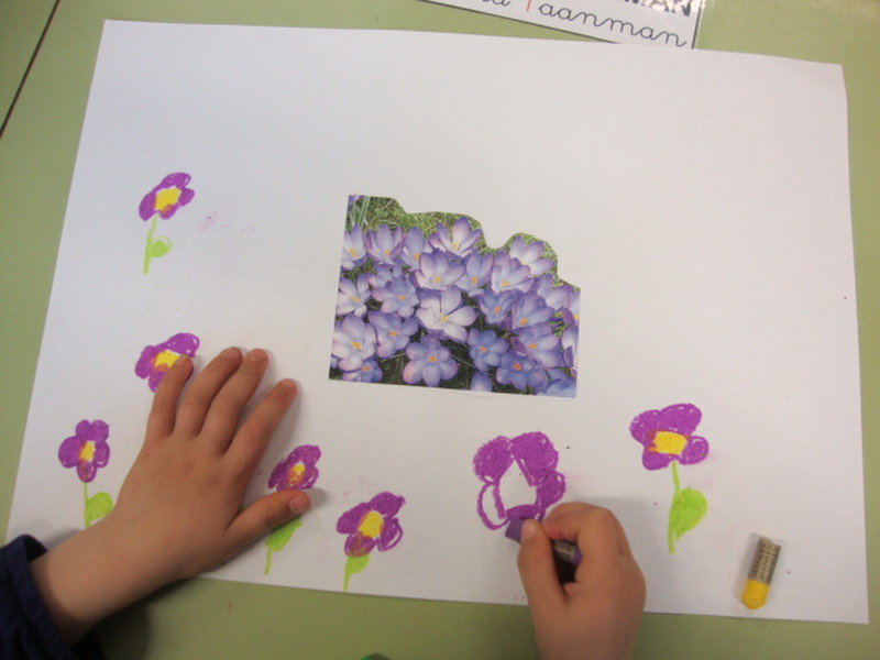 DSC01811_redimensionar