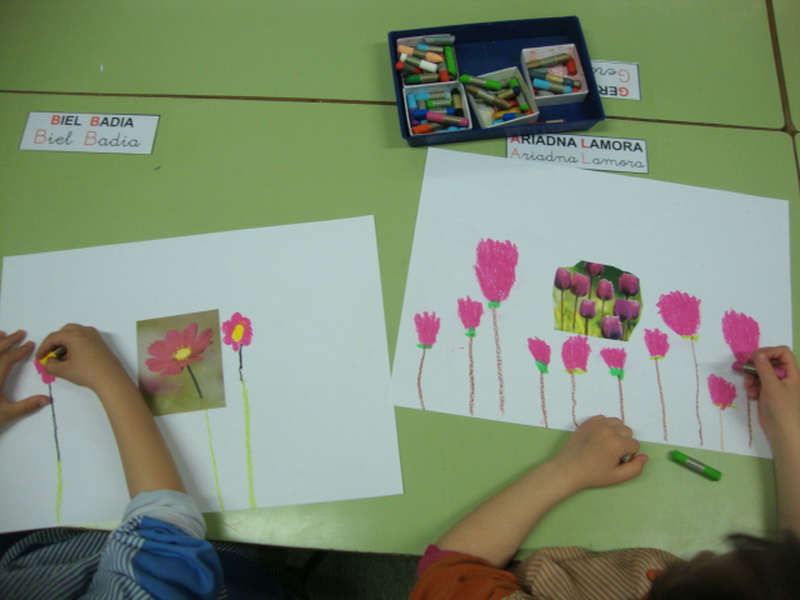 DSC01815_redimensionar