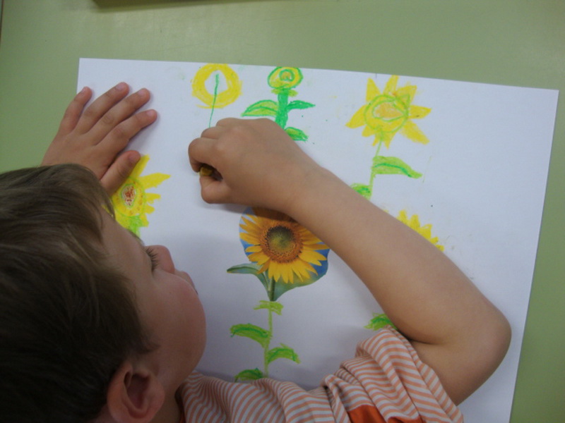 DSC01817_redimensionar