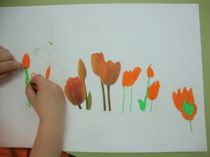 DSC01820_redimensionar