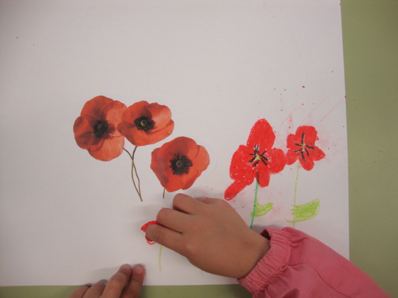 DSC01821_redimensionar