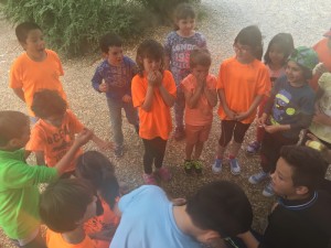 IMG_1722_redimensionar