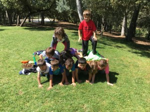 IMG_1833_redimensionar