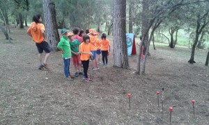 IMG_3011_redimensionar