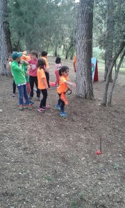 IMG_3012_redimensionar