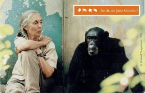 jane-goodall-chimpancc3a9