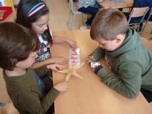 IMG_20170407_153518465