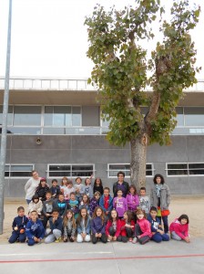 arbres del pati (24)