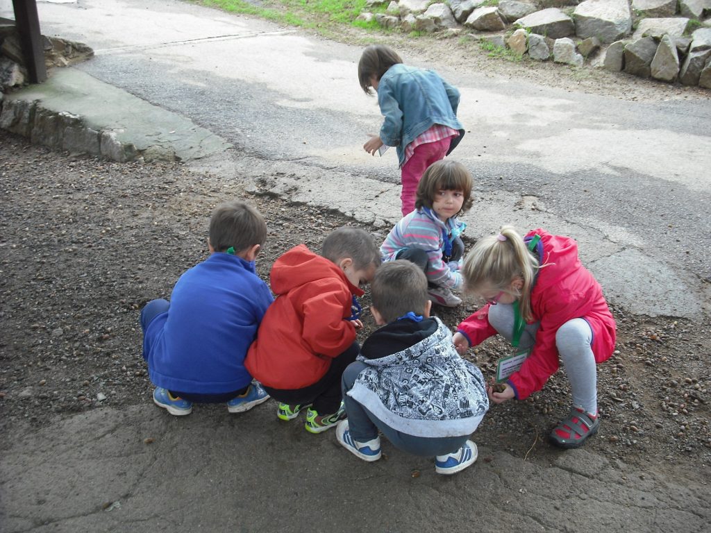 dscf0007-redimensionada