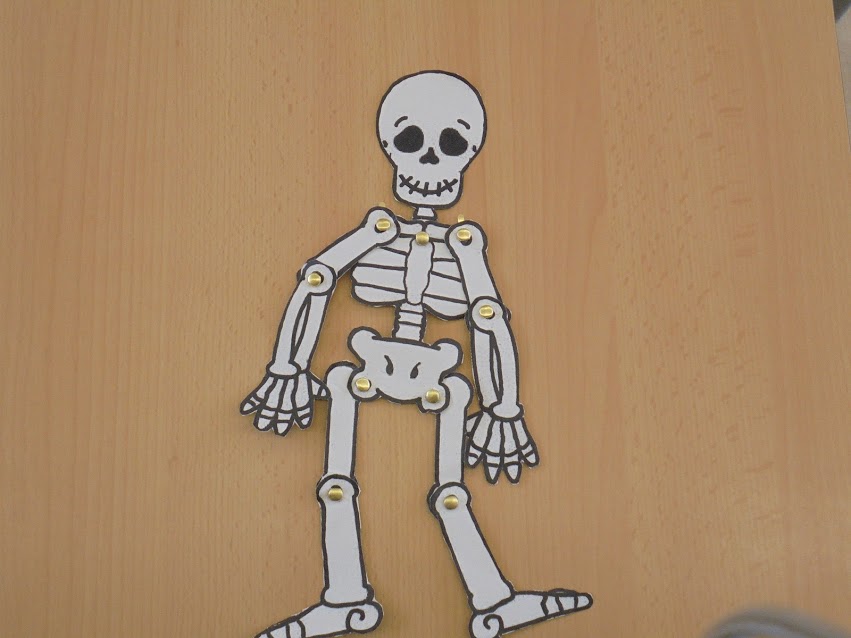 esquelet-1