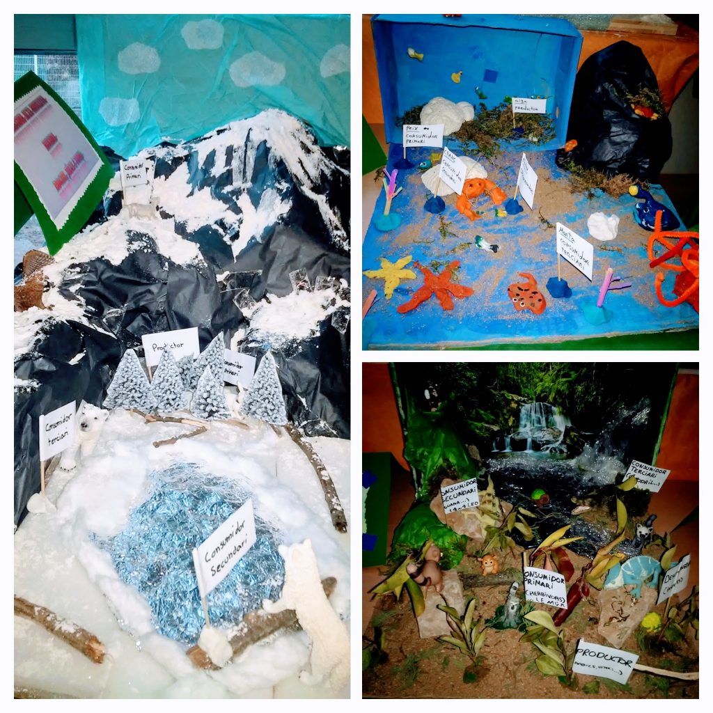 20161213_170556-collage