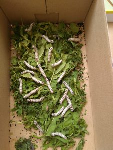 IMG_20170508_125825-min