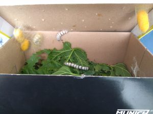 IMG_20170518_091354-min