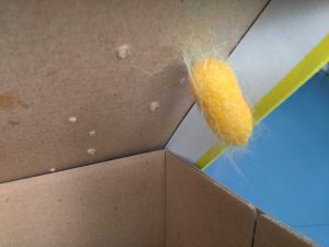 IMG_20170518_091419-min