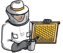 1er-apicultors