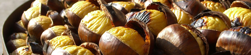 banner-festa-tyardor-16