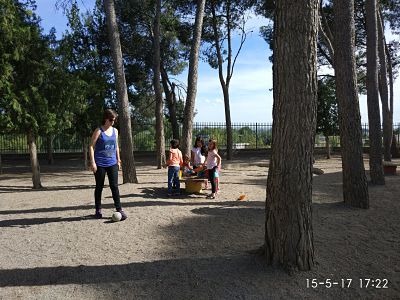 IMG_20170515_172243_opt