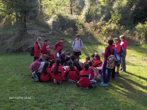2016-olot-6e-001