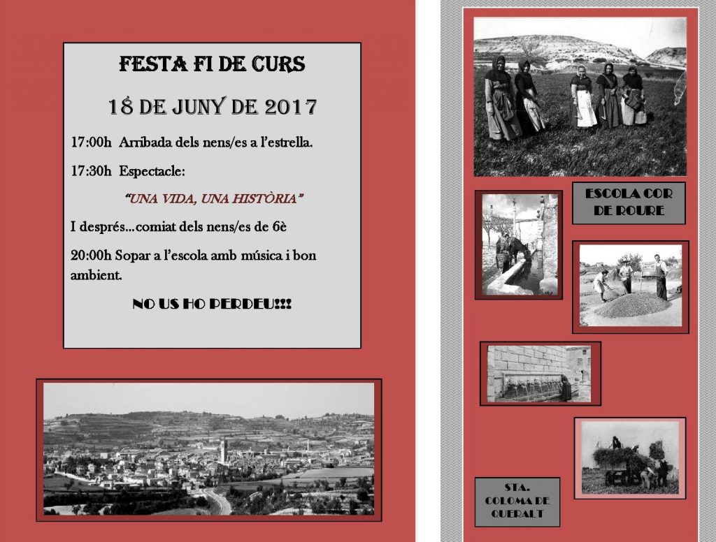 PROGRAMA FI CURS 17-page-001