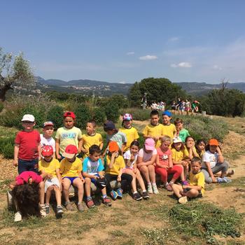 picasion.com_27ac8b1f3a9f5ce18bd1032e0d2a285a