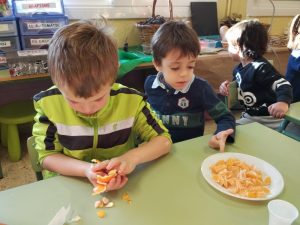 FEM UNA MACEDONIA BONISSIMA AMB IOGURT