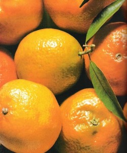 mandariner1