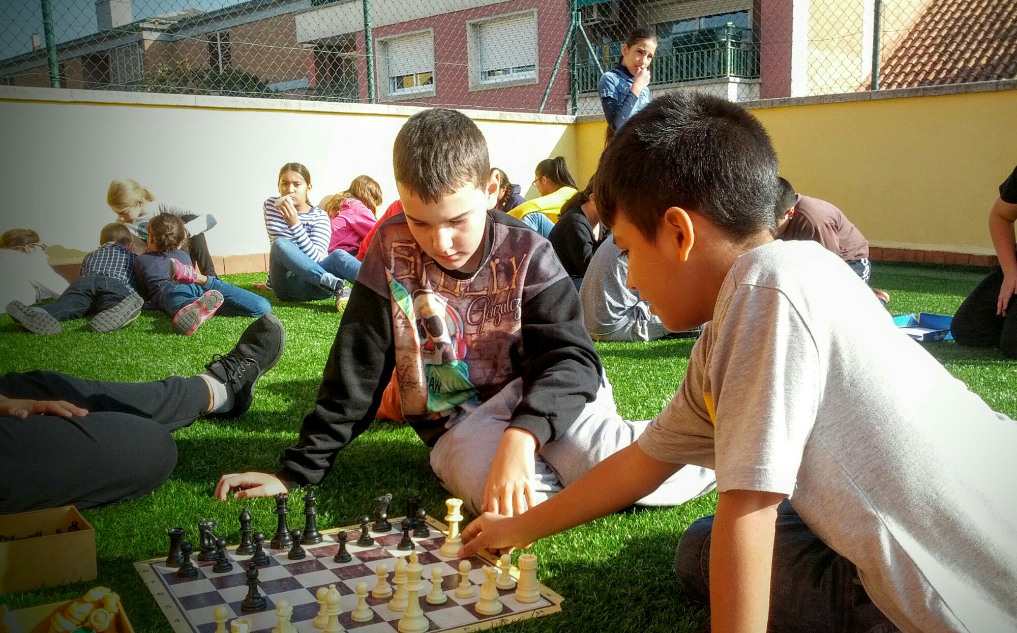 IMG_20151112_110517-1.jpg image