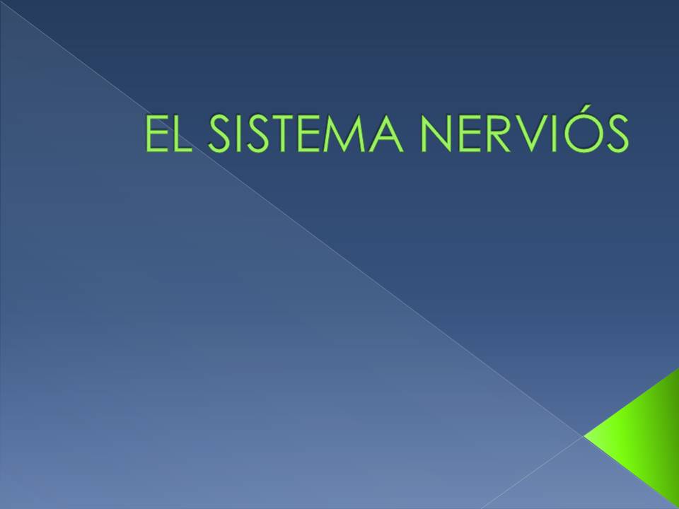 EL SISTEMA NERVIÓS